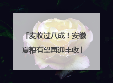 麦收过八成！安徽夏粮有望再迎丰收