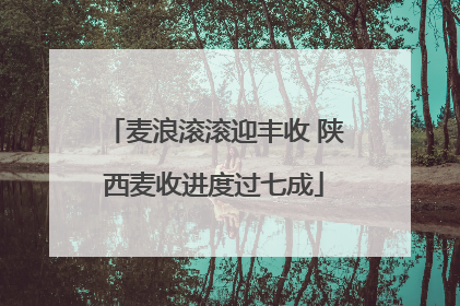 麦浪滚滚迎丰收 陕西麦收进度过七成