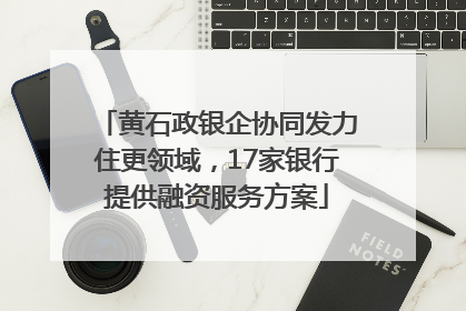 黄石政银企协同发力住更领域，17家银行提供融资服务方案