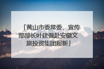 黄山市委常委、宣传部部长叶建强赴安徽文旅投资集团履新