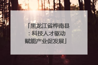 黑龙江省桦南县：科技人才驱动 赋能产业促发展