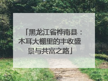 黑龙江省桦南县：木耳大棚里的丰收盛景与共富之路