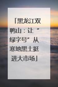 黑龙江双鸭山：让“绿字号”从寒地黑土挺进大市场