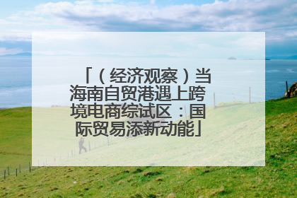 （经济观察）当海南自贸港遇上跨境电商综试区：国际贸易添新动能
