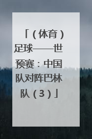 （体育）足球——世预赛：中国队对阵巴林队（3）