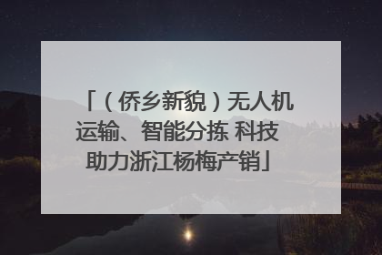 （侨乡新貌）无人机运输、智能分拣 科技助力浙江杨梅产销