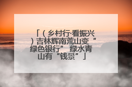 （乡村行·看振兴）吉林辉南荒山变“绿色银行” 绿水青山有“钱景”