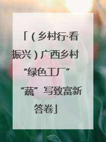 （乡村行·看振兴）广西乡村“绿色工厂” “蔬”写致富新答卷