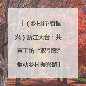 （乡村行·看振兴）浙江天台：共富工坊“双引擎”驱动乡村振兴路