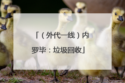 （外代一线）内罗毕：垃圾回收