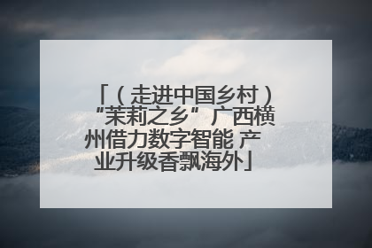 （走进中国乡村）“茉莉之乡”广西横州借力数字智能 产业升级香飘海外