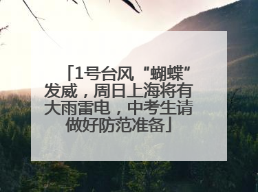 1号台风“蝴蝶”发威，周日上海将有大雨雷电，中考生请做好防范准备