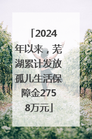 2024年以来，芜湖累计发放孤儿生活保障金2758万元