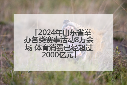 2024年山东省举办各类赛事活动8万余场 体育消费已经超过2000亿元