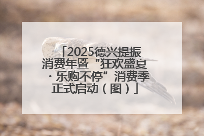 2025德兴提振消费年暨“狂欢盛夏・乐购不停”消费季正式启动（图）