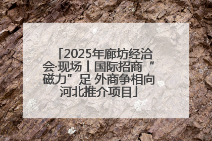 2025年廊坊经洽会·现场丨国际招商“磁力”足 外商争相向河北推介项目