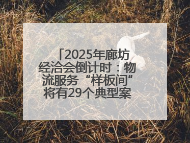 2025年廊坊经洽会倒计时：物流服务“样板间”将有29个典型案例呈现