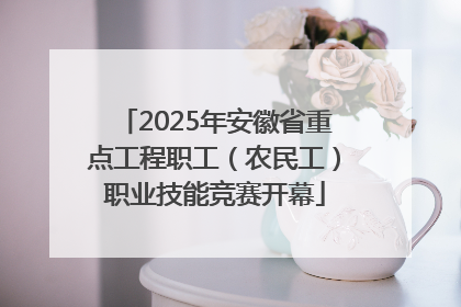 2025年安徽省重点工程职工（农民工）职业技能竞赛开幕