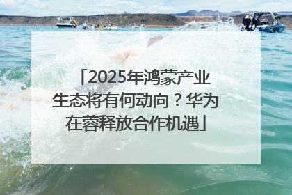 2025年鸿蒙产业生态将有何动向？华为在蓉释放合作机遇