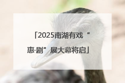 2025南湖有戏“惠·剧”展大幕将启