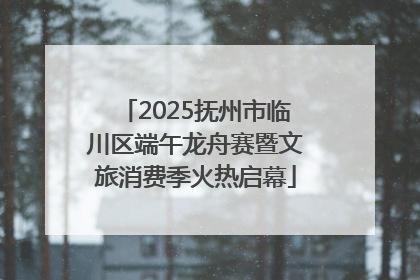 2025抚州市临川区端午龙舟赛暨文旅消费季火热启幕