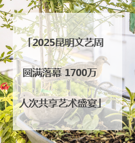 2025昆明文艺周圆满落幕 1700万人次共享艺术盛宴