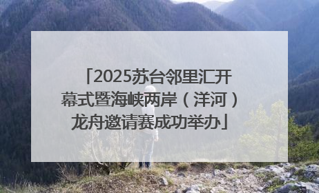 2025苏台邻里汇开幕式暨海峡两岸（洋河）龙舟邀请赛成功举办