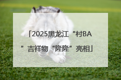 2025黑龙江“村BA”吉祥物“隆隆”亮相