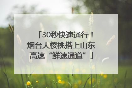 30秒快速通行！烟台大樱桃搭上山东高速“鲜速通道”