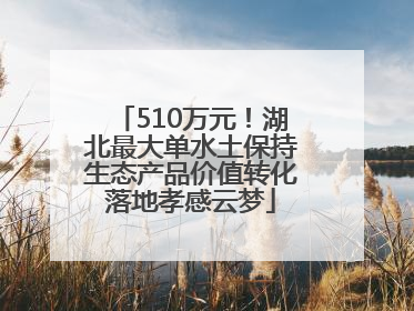 510万元！湖北最大单水土保持生态产品价值转化落地孝感云梦