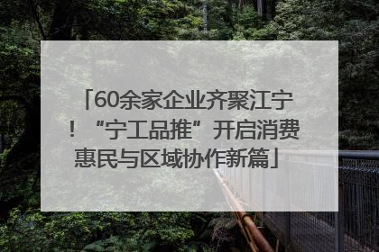 60余家企业齐聚江宁！“宁工品推”开启消费惠民与区域协作新篇