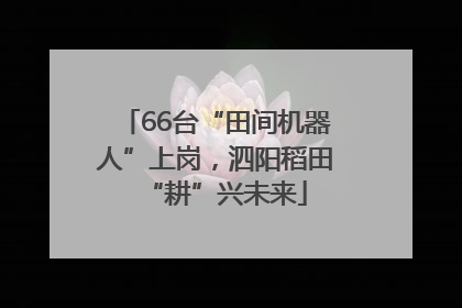 66台“田间机器人”上岗，泗阳稻田“耕”兴未来